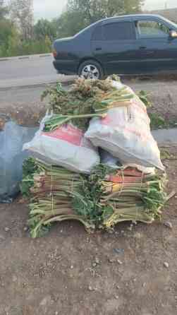 Чукуру Бишкек ВОТСАП ЖАЗГЫЛА! Чалбагыла Самовывоз кожзавод широкая дом Бишкек