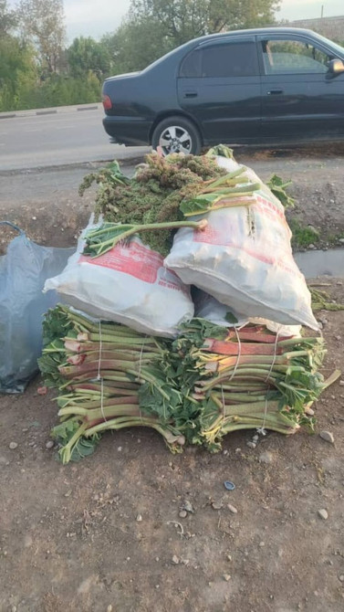 Чукуру Бишкек ВОТСАП ЖАЗГЫЛА! Чалбагыла Самовывоз кожзавод широкая дом Бишкек - изображение 1