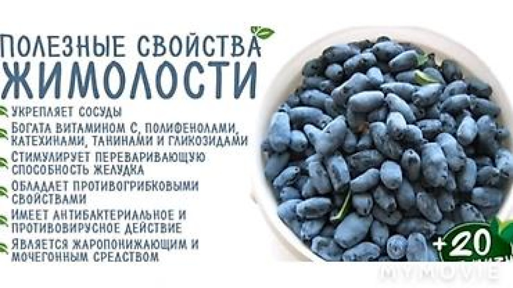 Продаю клубнику рассаду. черный принц 300сом 10 шт. гигантелла весна Бишкек - изображение 7