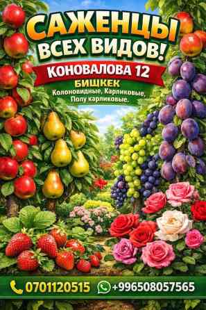 САЖЕНЦЫ ВСЕХ СОРТОВ!????????Яблони: Гала, Голден Делишес, Ред Делишес, ???? Бишкек