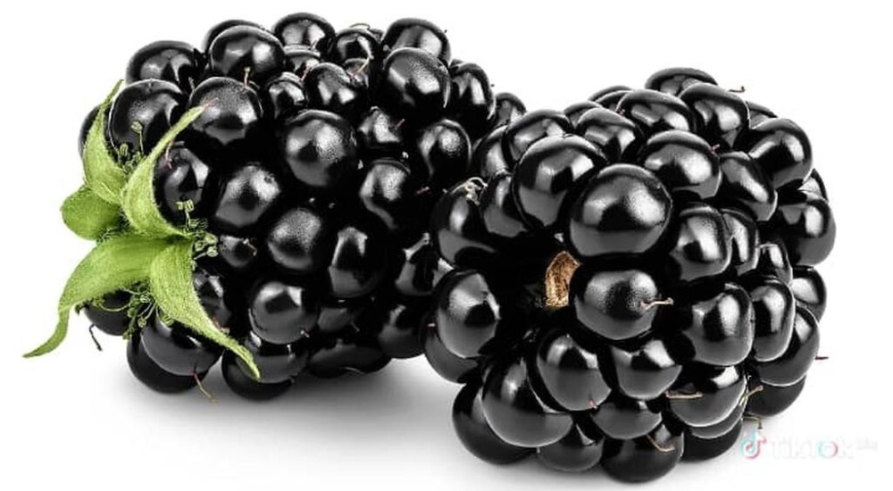 Ежевика кочоттор сатылат 25 сомдон Бишкек - изображение 1