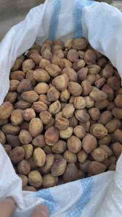 Орук как сатылат. Сорт Кандек. ( 2 сорт ) Баасы 120 сом. Бишкекте Бишкек