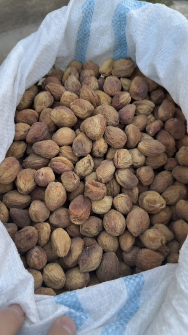 Орук как сатылат. Сорт Кандек. ( 2 сорт ) Баасы 120 сом. Бишкекте Бишкек - изображение 1