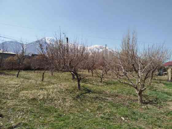 Плодовый участок/сад - Ухоженный участок с плодовыми деревьями Бишкек