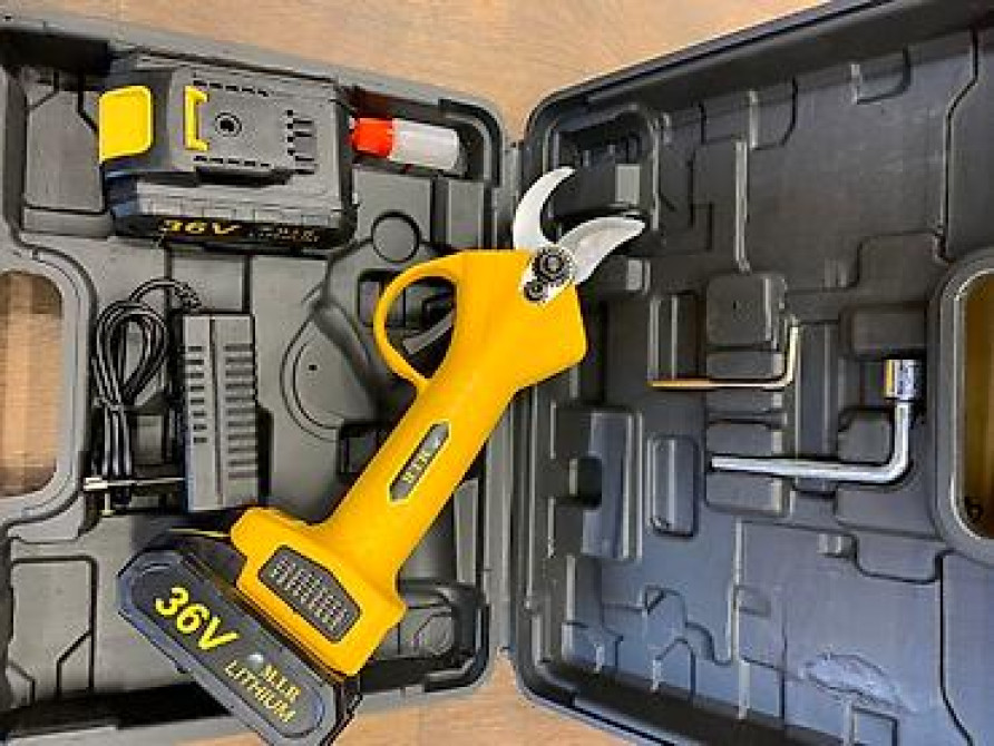 Ручные секаторы, Бесплатная доставка, Платная доставка, Самовывоз Bishkek - photo 4