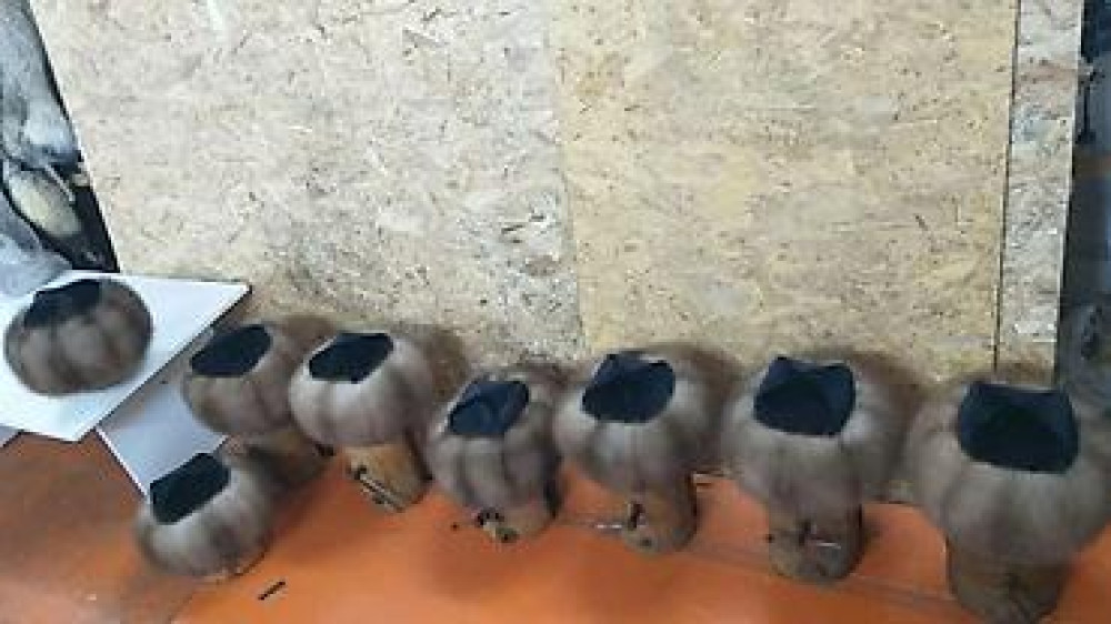 СУУСАР ТЕБЕТЕЙ, ИЧИК, МАЛАХАЙ ОТ ПРОИЗВОДИТЕЛЯ, БЕЗ ПОСРЕДНИКОВ Бишкек - сүрөт 27