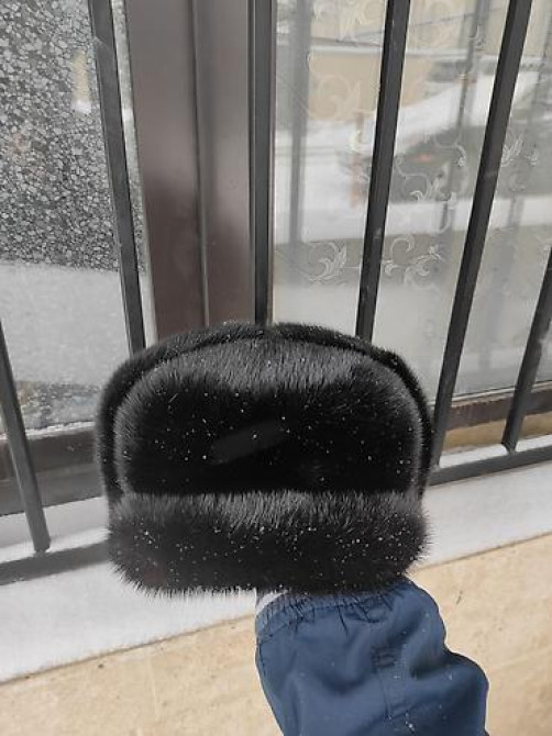 Жаңы тигилген 