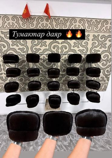 Жаңы тигилген 