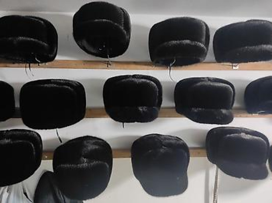 Жаңы тигилген 