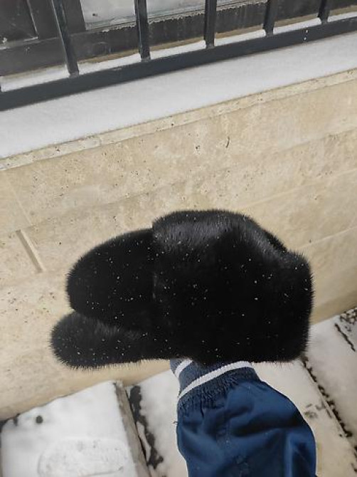 Жаңы тигилген 