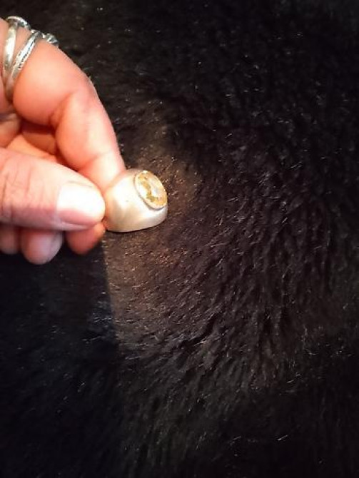 Серебро обмена нет, 0/508/01/35/95 цена от 0 Бишкек - изображение 50