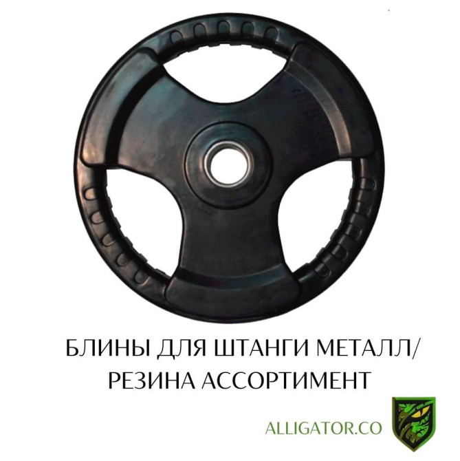 Блины для штанги / грифа Прорезиненные, ассортимент Цена за 1 кг Бишкек - изображение 1